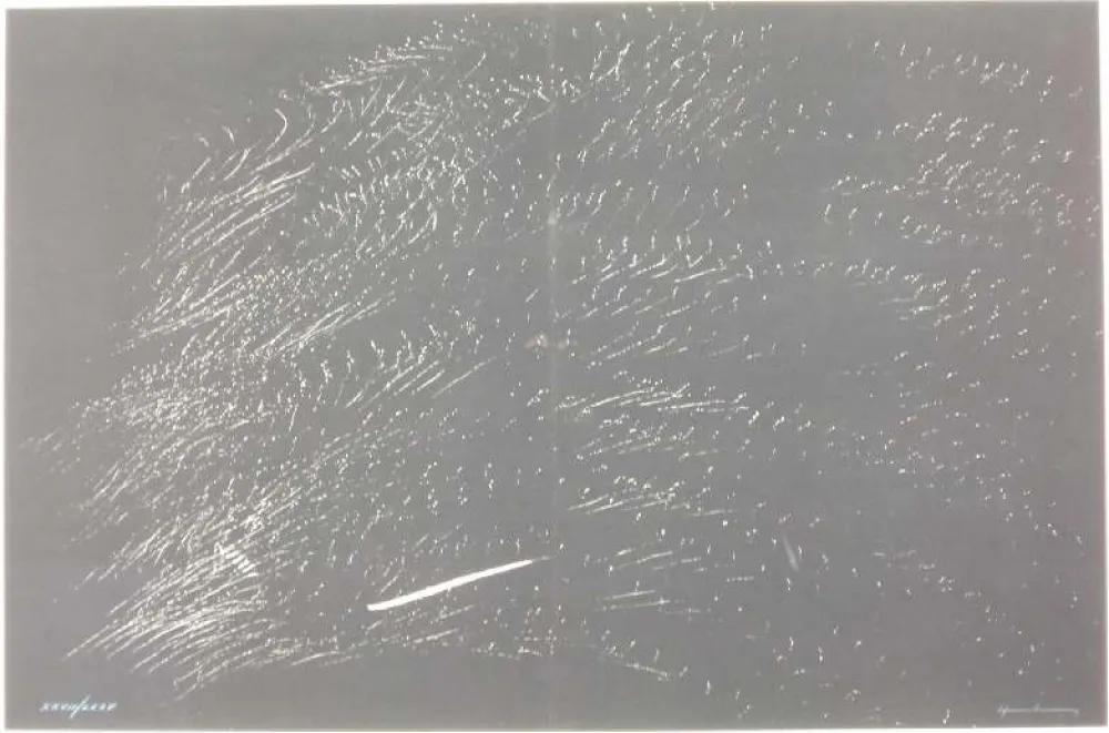 Litografía Hartung - FARANDOLE