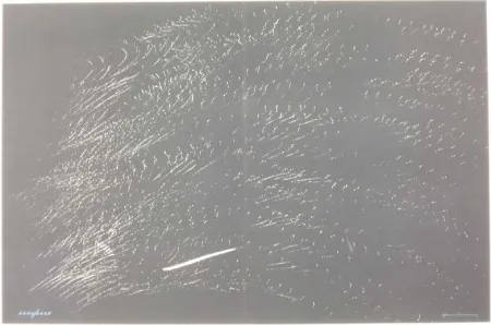 Litografía Hartung - FARANDOLE