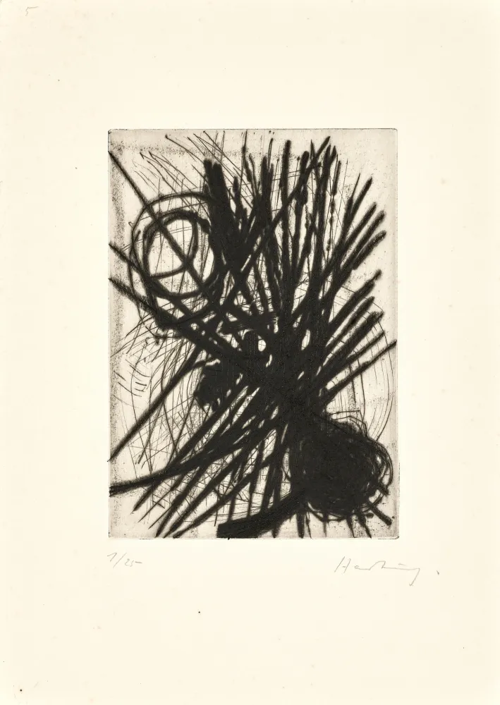 Punta Seca Hartung - G011