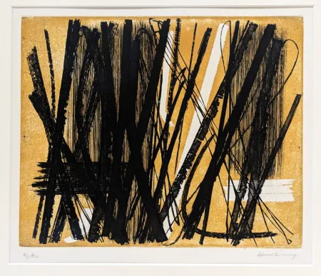 Aguafuerte Y Aguatinta Hartung - G5