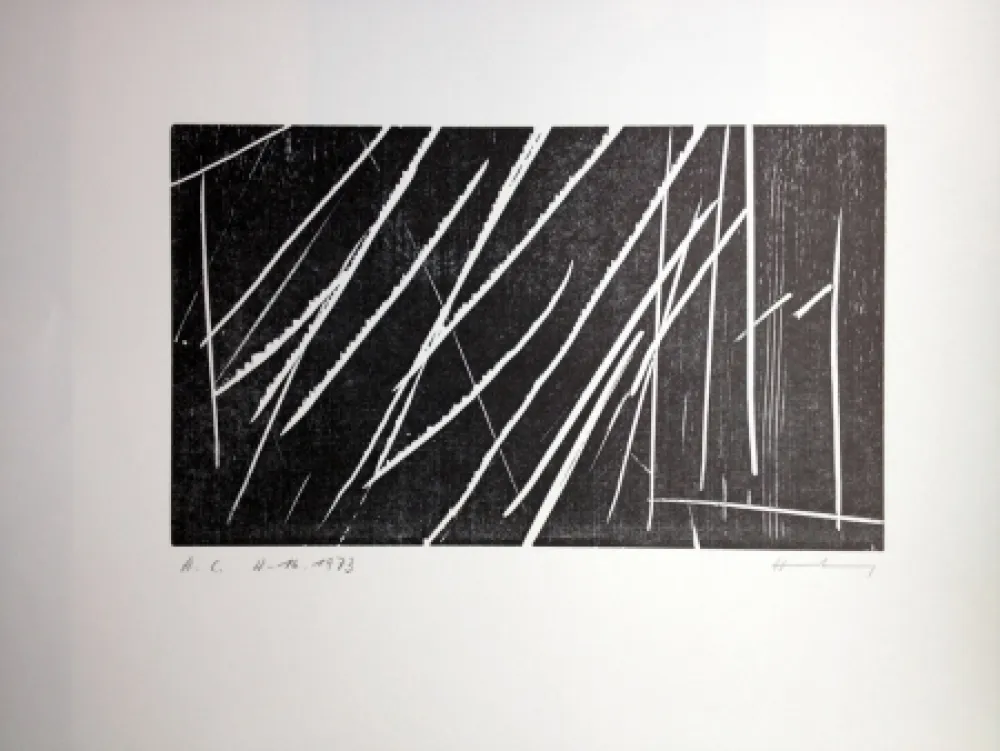 Grabado En Madera Hartung - H 16