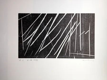 Grabado En Madera Hartung - H 16