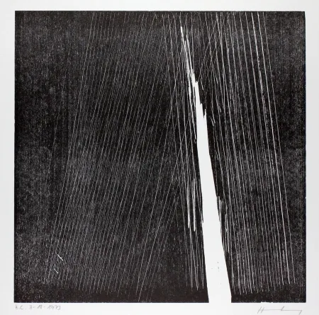 Grabado En Madera Hartung - H-18-1973