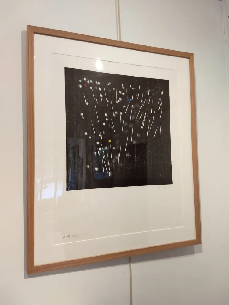 Litografía Hartung - H13