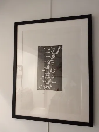 Litografía Hartung - H14