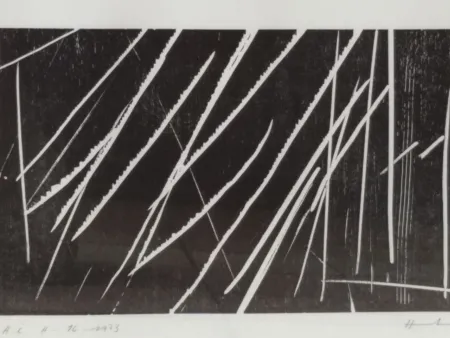 Litografía Hartung - H16