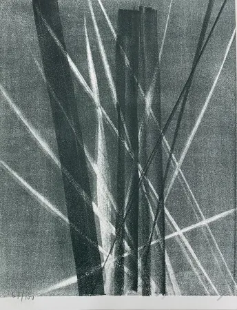 Litografía Hartung - Hans Arp