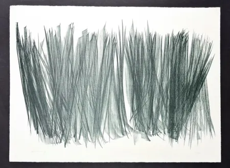 Litografía Hartung - Hans Hartung (1904 - 1989) - L 106 - Lithograph on BFK Rives paper - 1963