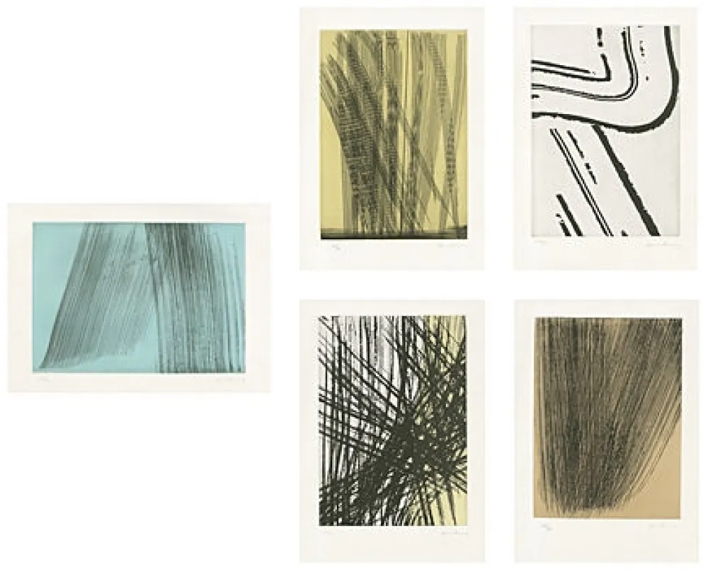 Libro Ilustrado Hartung - 