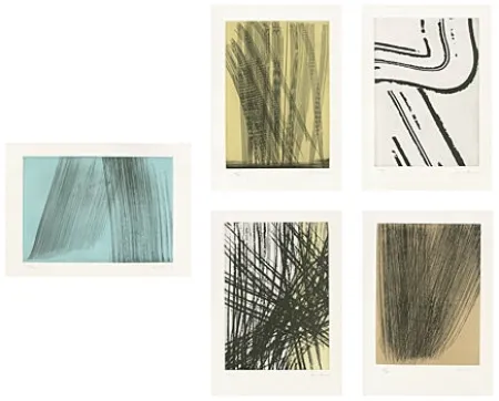 Libro Ilustrado Hartung - 