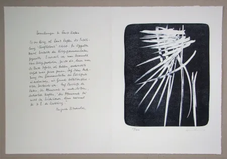 Litografía Hartung - L 1976-27