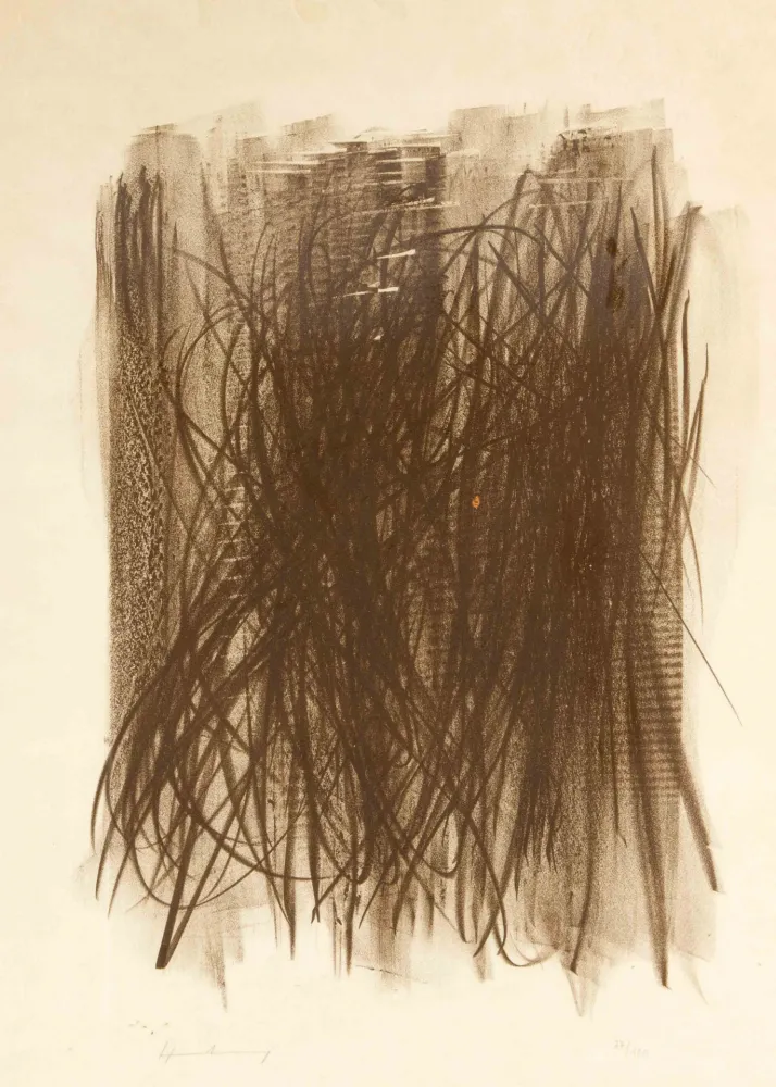 Sin Técnico Hartung - L92