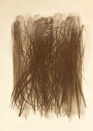 Sin Técnico Hartung - L92