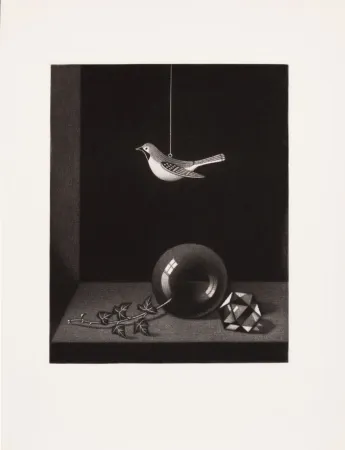 Libro Ilustrado Hasegawa - PORTRAIT DE KIYOSHI HASEGAWA. Avec 5 