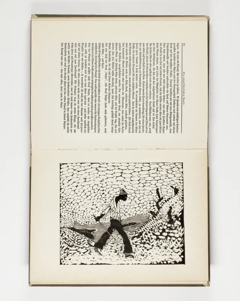 Libro Ilustrado Hasemann - Himmel und Hölle auf der Landstraße