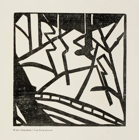 Grabado En Madera Heemskerck,  - Sturm-Bilderbuch VII 