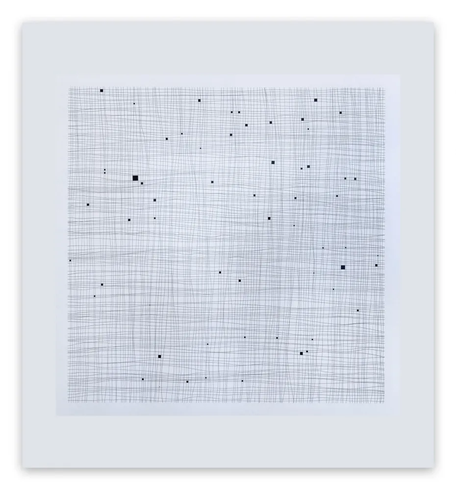 Sin Técnico Henderson - Terms and Conditions