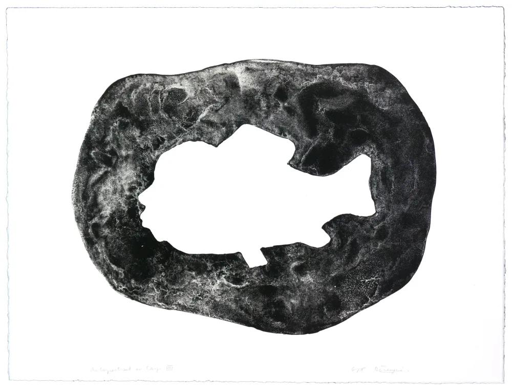 Litografía Henin - Auportrait en carpe VIII