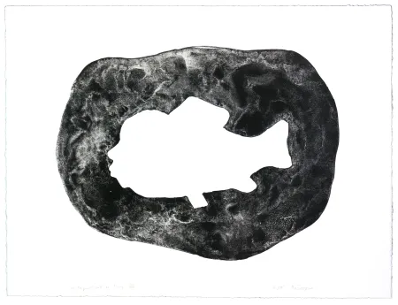 Litografía Henin - Auportrait en carpe VIII