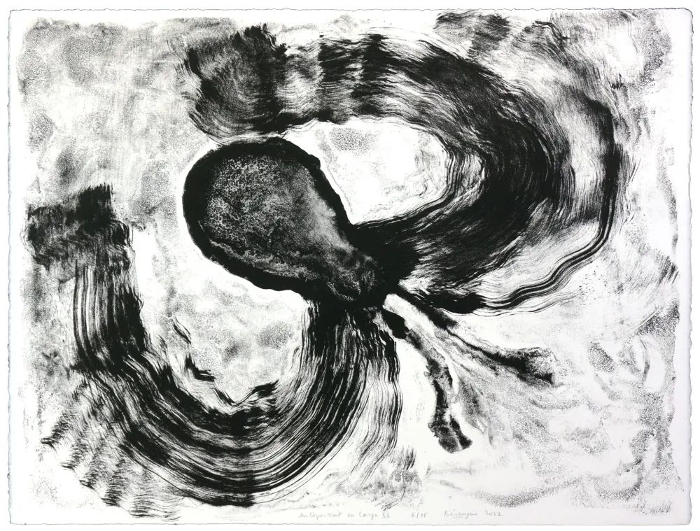 Litografía Henin - Auportrait en carpe XI