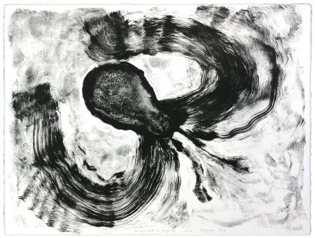 Litografía Henin - Auportrait en carpe XI