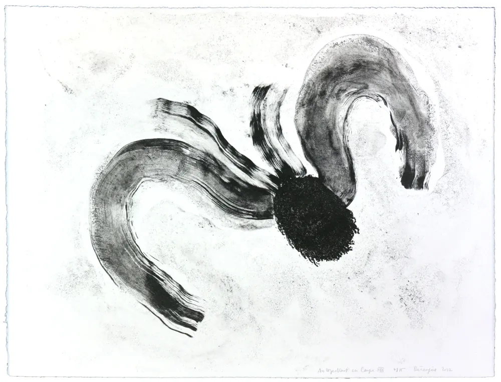 Litografía Henin - Auportrait en carpe XII