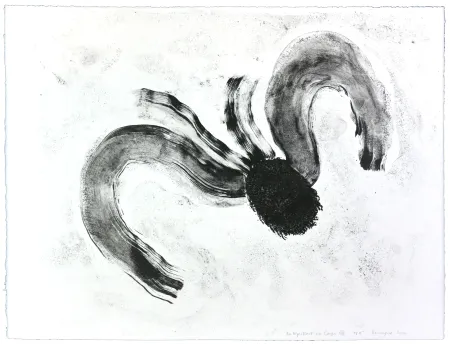 Litografía Henin - Auportrait en carpe XII