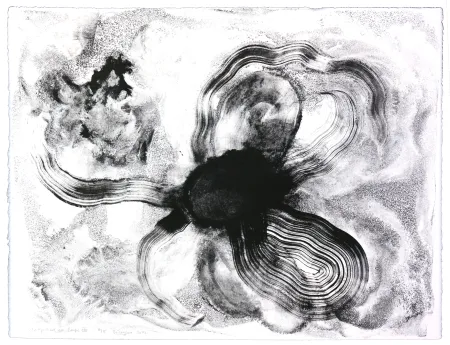 Litografía Henin - Auportrait en carpe XIII