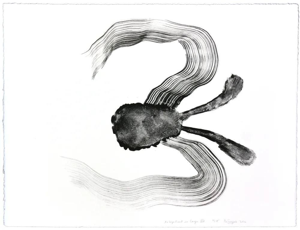 Litografía Henin - Auportrait en carpe XIV