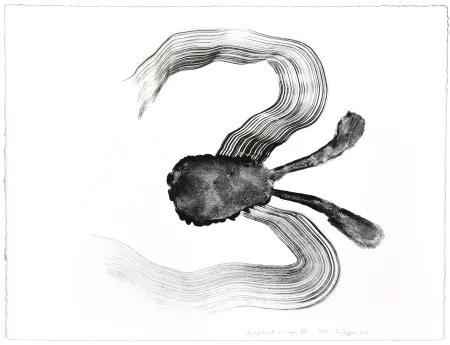 Litografía Henin - Auportrait en carpe XIV