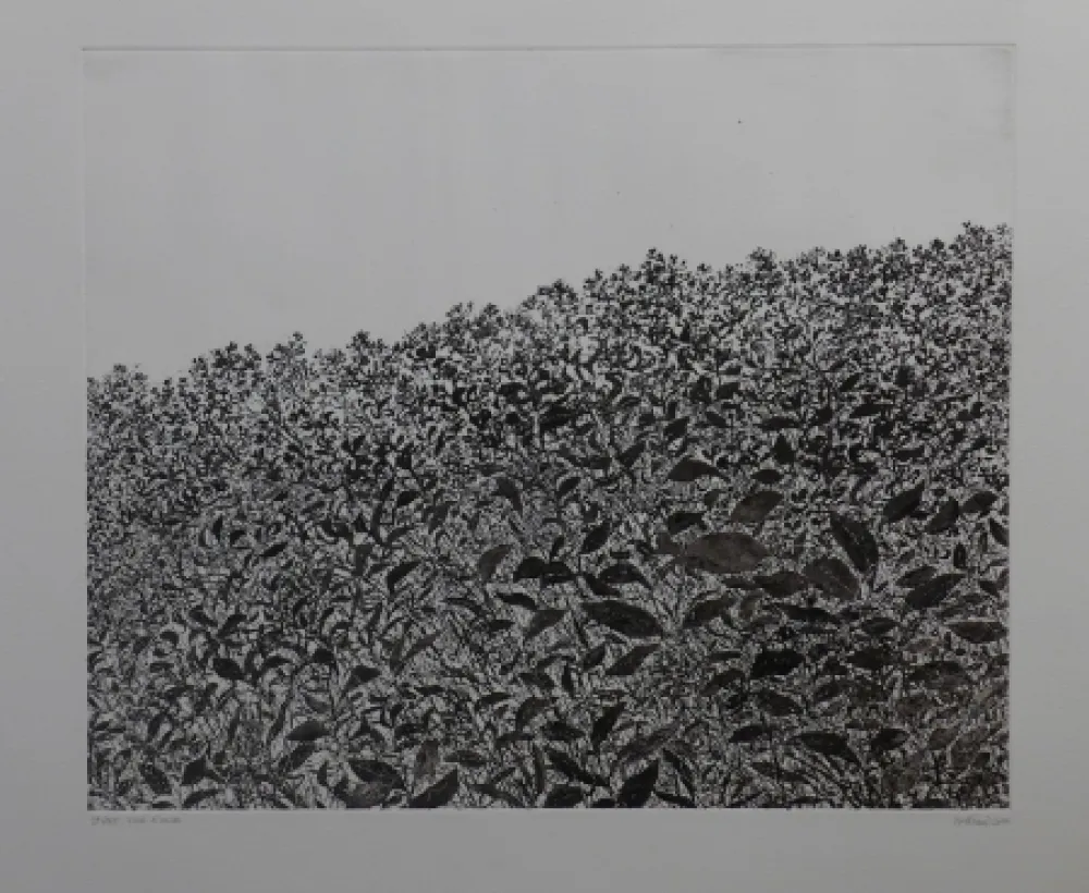 Aguafuerte Henry - Sans titre