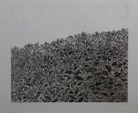 Aguafuerte Henry - Sans titre