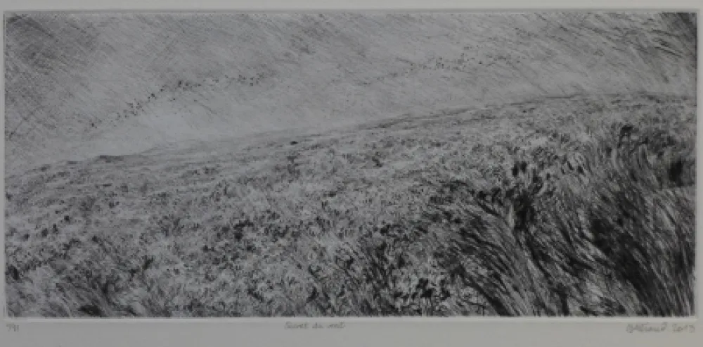 Punta Seca Henry - Secret du vent