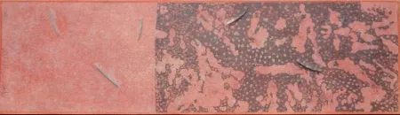 Aguafuerte Y Aguatinta Herman - L' origine des origines