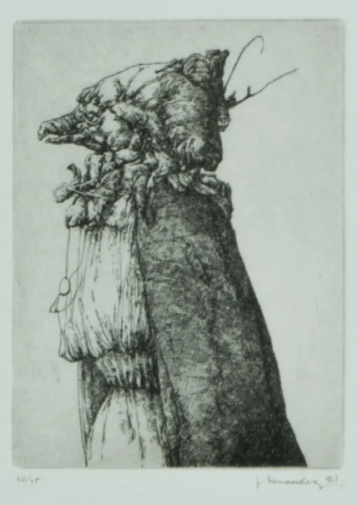 Grabado Hernandez - Personaje