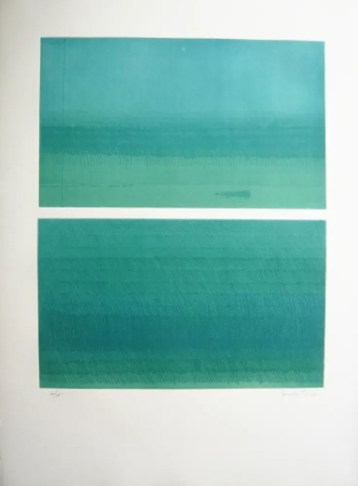 Grabado Hernandez Pijuan - Doble paisatge