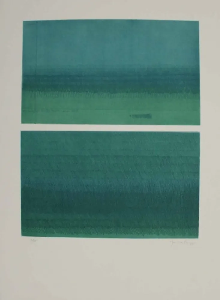 Aguafuerte Y Aguatinta Hernandez Pijuan - Doble paisatge