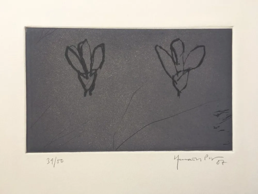 Grabado Hernandez Pijuan - Flores sobre gris