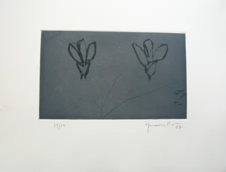 Múltiple Hernandez Pijuan - Flors sobre gris