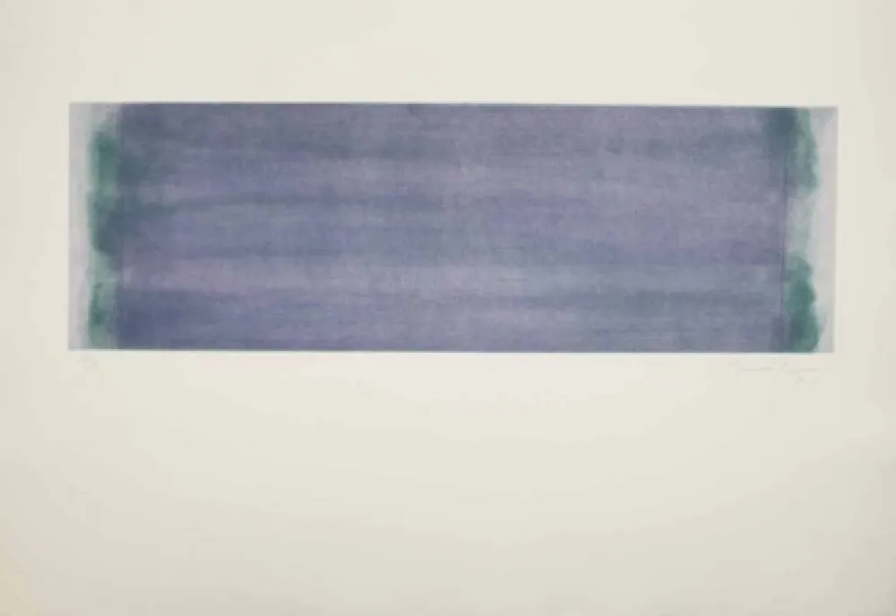 Aguafuerte Y Aguatinta Hernandez Pijuan - HP 15