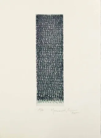 Aguafuerte Y Aguatinta Hernandez Pijuan - HP 8