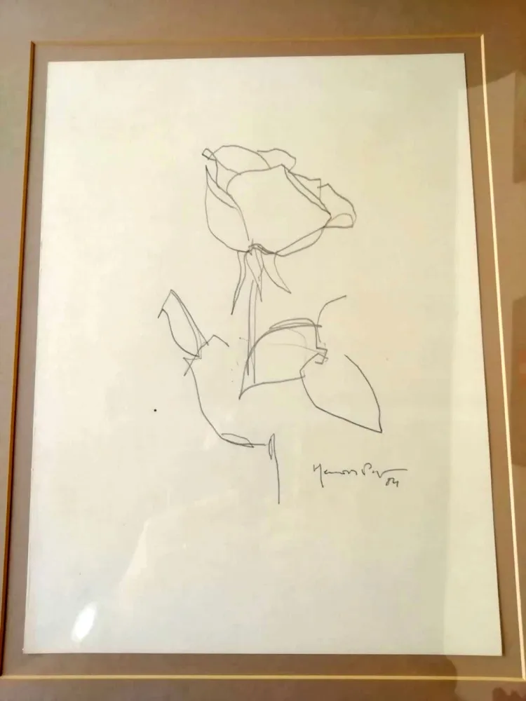 Sin Técnico Hernandez Pijuan - La Rosa - 3