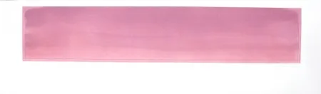 Grabado Hernandez Pijuan - PH-2