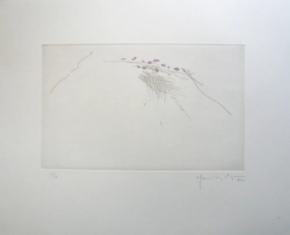 Grabado Hernandez Pijuan - PJ8