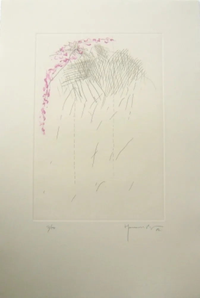 Grabado Hernandez Pijuan - PL1