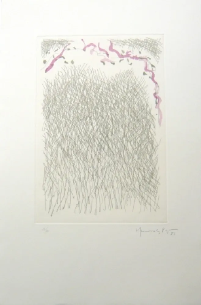 Grabado Hernandez Pijuan - PL2