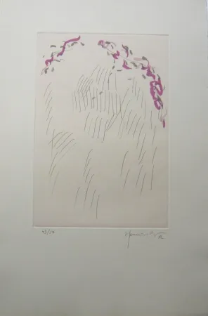 Grabado Hernandez Pijuan - PL3