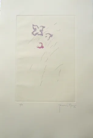 Grabado Hernandez Pijuan - PL4