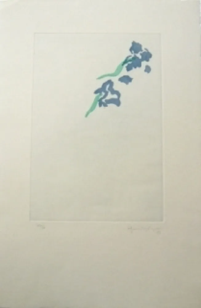 Grabado Hernandez Pijuan - PL5