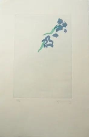 Grabado Hernandez Pijuan - PL5